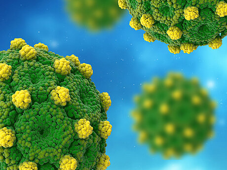 Hepatis-B-Virus Modell Elektronenmikroskop Hepatis-B-Virus Modell Elektronenmikroskop